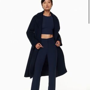 Aritzia Publish Pants
